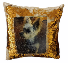 Load image into Gallery viewer, Sequin Pillows