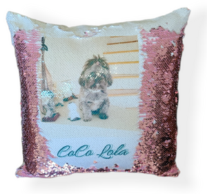 Sequin Pillows